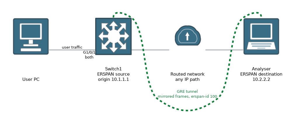 Switch1 with origin address 10.1.1.1 wraps mirrored frames in a GRE tunnel with ERSPAN ID 100 and sends them across a routed network to an analyser at 10.2.2.2.
