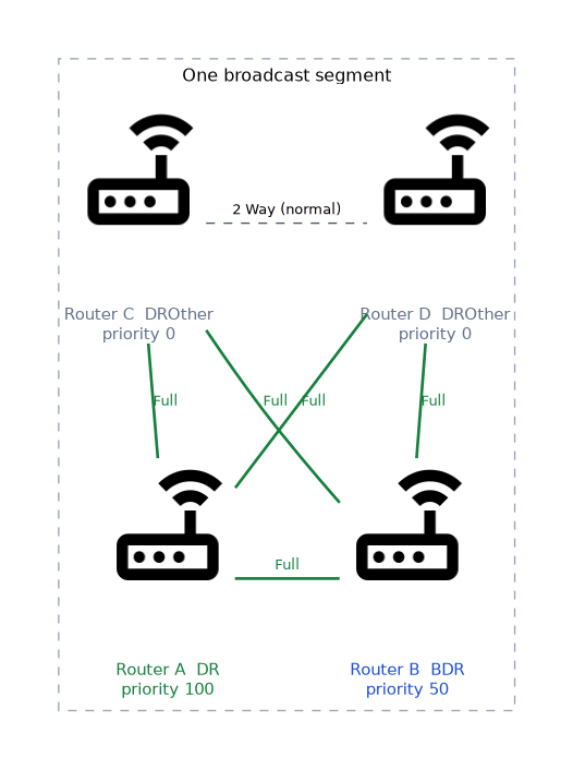 Four routers on one broadcast segment: router A is the DR with priority 100 and router B the BDR with priority 50, both fully adjacent to the two DROthers, which stay in 2 Way with each other.