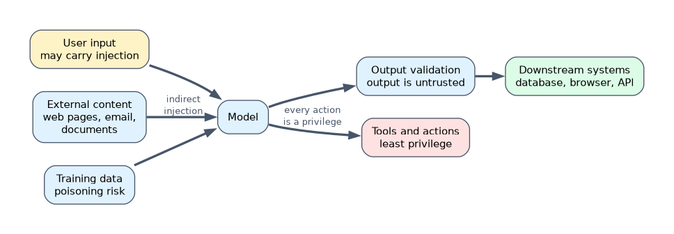 Trust boundaries in an AI system: user input, external content carrying indirect injection and training data all flow into the model, model output is untrusted and validated before reaching downstream systems, and every tool action the model can take is a privilege kept to the minimum.
