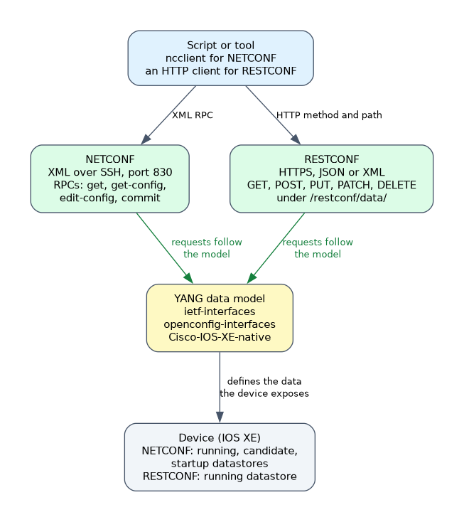 A script reaches a device through NETCONF (XML over SSH, port 830) or RESTCONF (HTTPS), and both follow the same YANG data model that defines what the device exposes.