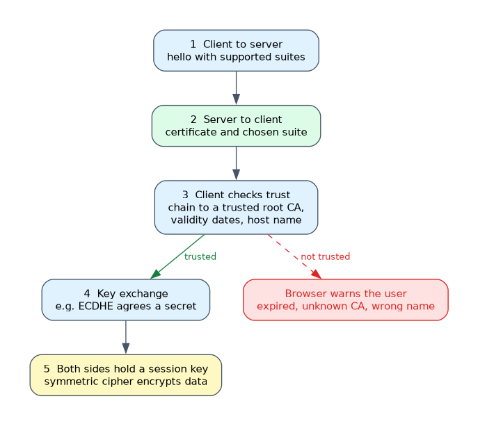 The five steps of a TLS handshake: client hello, server certificate and chosen suite, client trust check, key exchange, then a shared session key. An untrusted certificate leads to a browser warning.