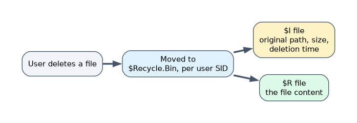 When a user deletes a file it moves to the Recycle Bin folder for that user's SID as two files: a dollar I file holding the original path, size and deletion time, and a dollar R file holding the content.