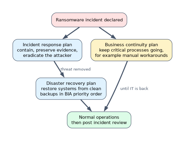 In a ransomware incident the incident response plan contains the attack and removes the attacker, the disaster recovery plan then restores systems from clean backups in BIA order, and the business continuity plan keeps critical processes going until IT is back.