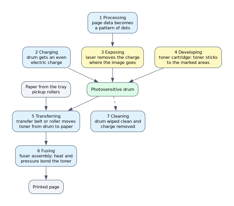 The parts of a laser printer in the seven imaging steps: processing, charging and exposing the photosensitive drum, developing with toner, transferring to paper, fusing with the fuser assembly, and cleaning the drum.