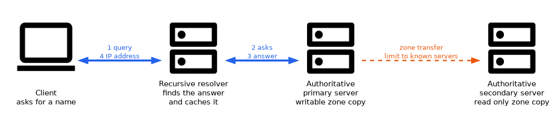 A client queries a recursive resolver, which asks an authoritative primary server and returns the IP address; the primary sends a zone transfer to a secondary server that holds a read only copy.