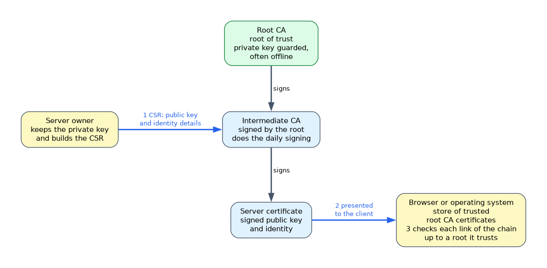 The root CA signs an intermediate CA, which signs the server certificate. The server owner sends a CSR with the public key and identity details, and the client checks each link of the chain up to a root in its trust store.
