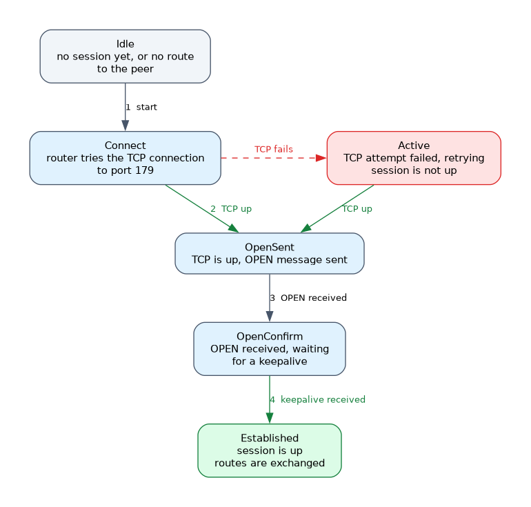 BGP neighbour states in order: Idle, Connect, OpenSent, OpenConfirm and Established, with a side branch to Active when the TCP connection attempt fails. Only Established exchanges routes.