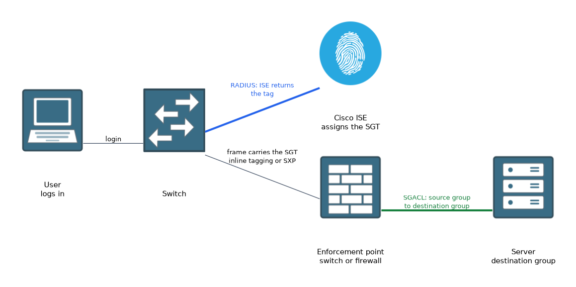 A user logs in through a switch, Cisco ISE returns a Security Group Tag by RADIUS, the tag travels with the frame inline or by SXP, and an enforcement point applies an SGACL between source and destination groups before the server.